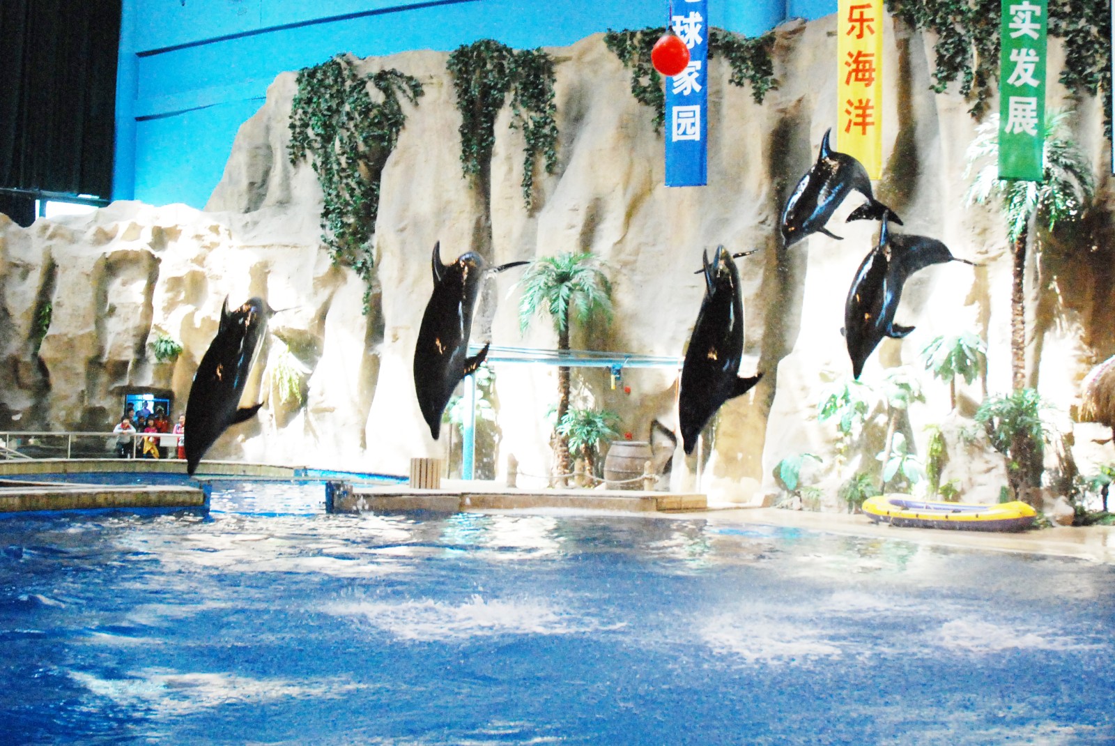 关于北京海洋馆清明节开闭馆时间 和动物表演场次调整的通知